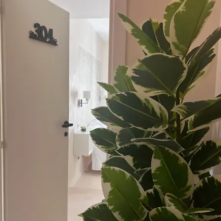 L'isola Di Lulu Homestay *